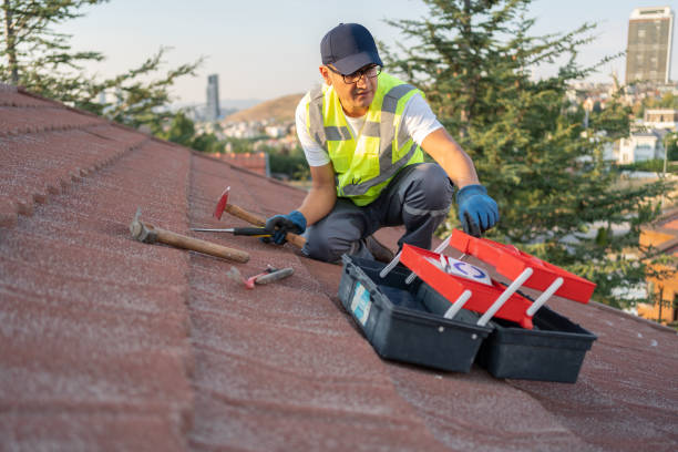 Best Fascia and Soffit Installation  in Shinnston, WV